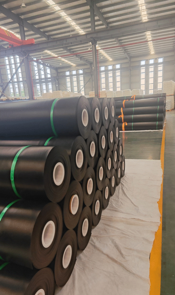 Finished rolls stored in the Jinseed warehouse ready for export