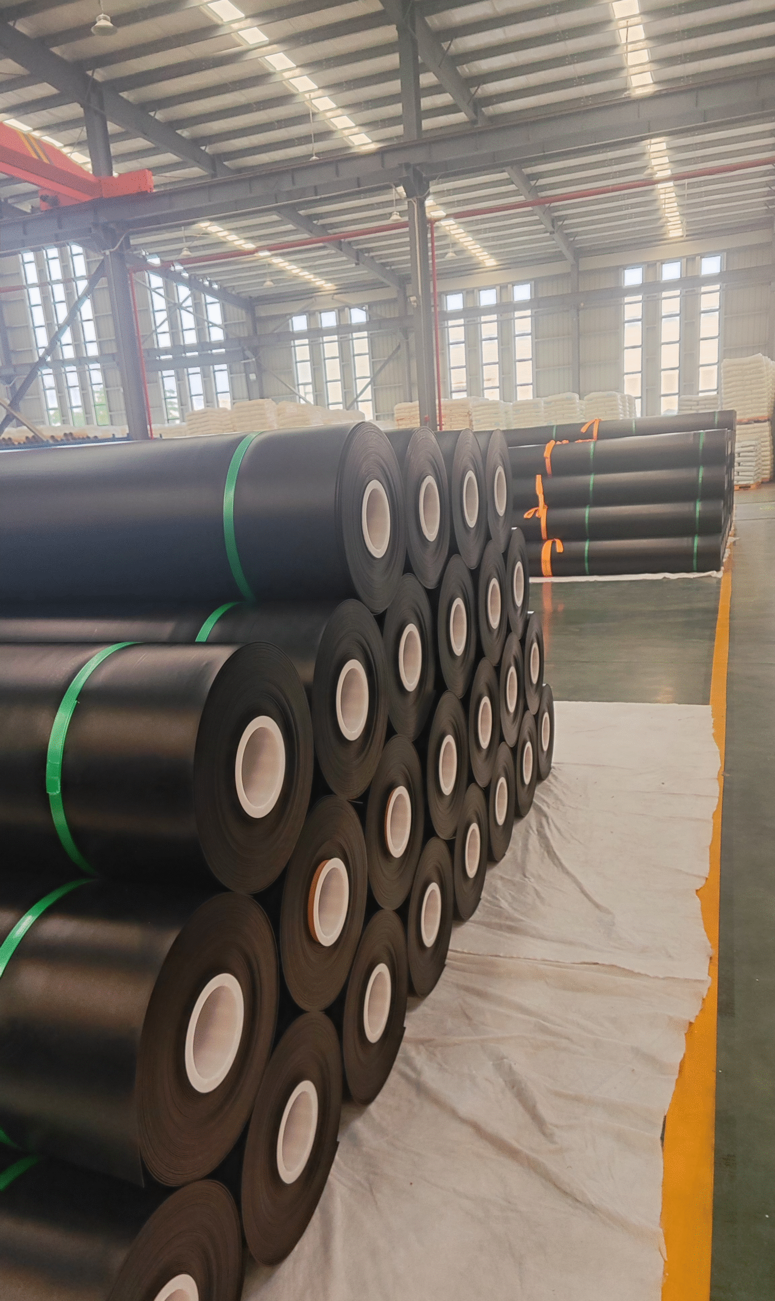 图片_20250523154003