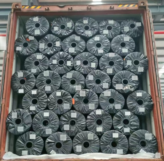 Wrapped geotextile rolls loaded inside a shipping container