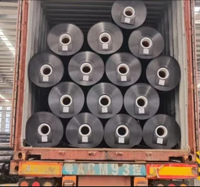 Geomembrane rolls loaded inside a shipping container