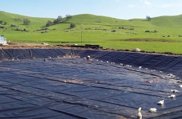 HDPE Geomembrane