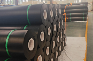 图片_20250523154003